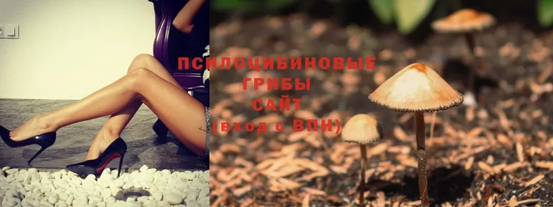 Галлюциногенные грибы MAGIC MUSHROOMS  Александровск 